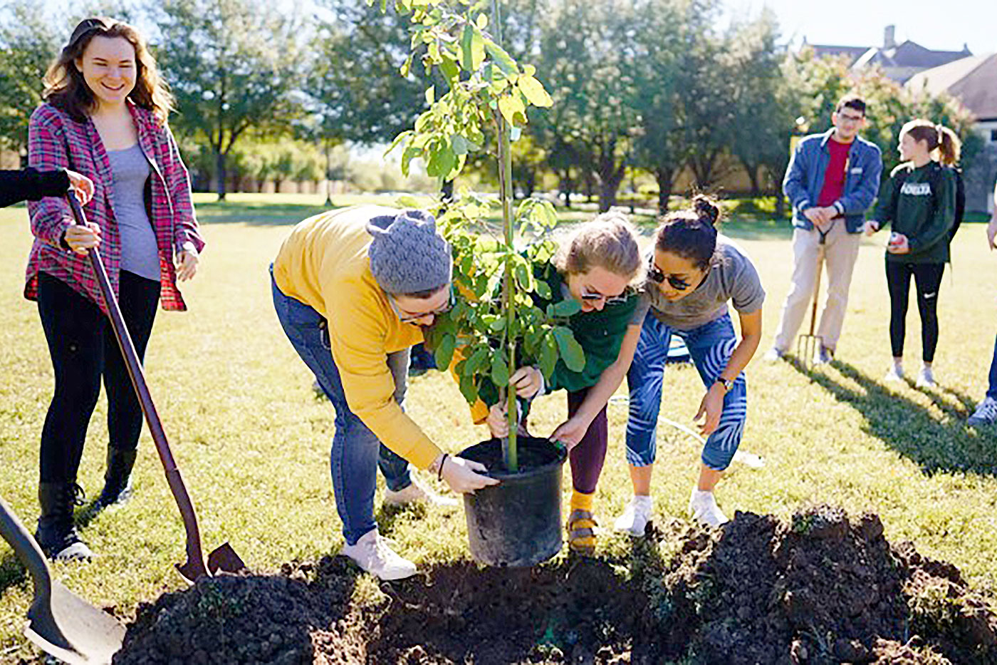 people planting a tree